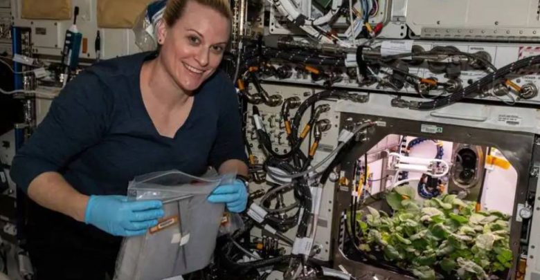 ناسا-تشارك-مقطع-فيديو-عن-حصاد-الفجل-لأول-مرة-في-محطة-الفضاء-الدولية