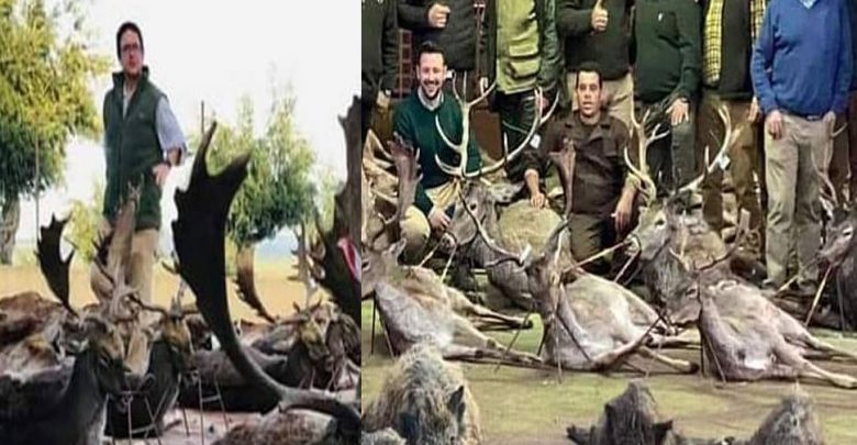 البرتغال:-قتل-540-حيوانا-على-يد-صيادين-في-إسبانيا-،-واشتعلت-النيران-بعد-مشاهدة-الصور