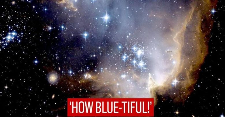 شاركت-وكالة-ناسا-صورة-لمجموعة-النجوم-الصغيرة-التي-يبلغ-عمرها-5-ملايين-عام-،-وكتبت-“كم-هي-زرقاء!”