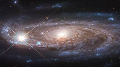 نظام-النجوم-السداسية:-علاقة-نادرة-وجدت-في-المجرة-،-6-نجوم-تدور-حول-بعضها-البعض