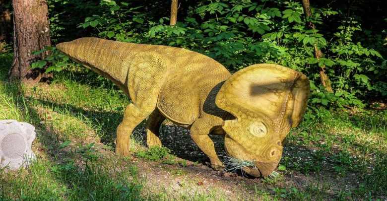 هدب-رقبة-الديناصور:-يستخدم-الديناصور-على-شكل-غنم-لجذب-شريكها-لممارسة-الجنس-مع-رقبة-خاصة