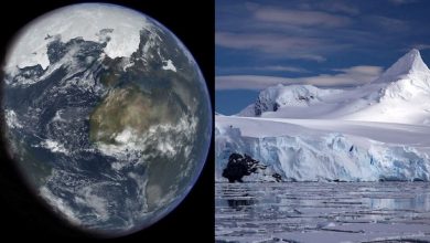 لغز-العصر-الجليدي:-كشف-العلماء-الغموض!-سوف-يجعلك-الغطاء-الجليدي-للأرض-لسنوات-عديدة-مصدومًا