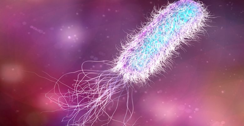 علوم-الحياة-والبكتيريا:-يمكن-للاكتشافات-الجديدة-عن-البكتيريا-أن-تغير-مفهوم-بداية-الحياة