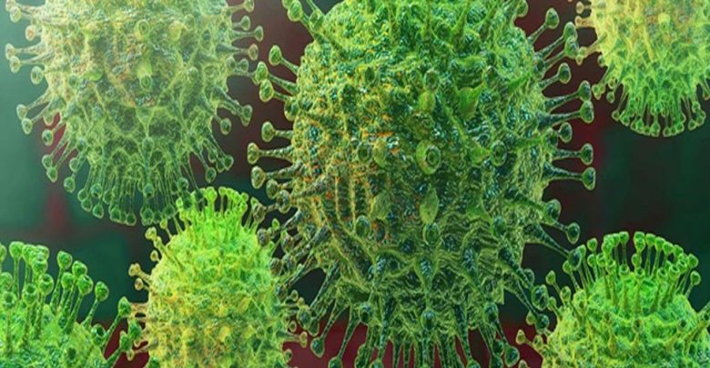 وتقول-الدراسة-إن-فيروس-كورونا-يقتل-الناس-منذ-25-ألف-عام