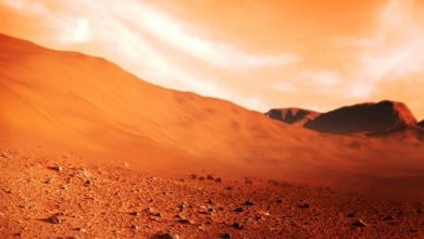 الحياة-على-المريخ:-زيادة-فرص-الاستيطان-على-المريخ!-قام-العلماء-بكشف-كبير-،-وأخبروا-كيف-كانت-الأنهار-والبحيرات-والحياة-على-المريخ
