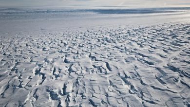 ذوبان-الأنهار-الجليدية-في-أنتاركتيكا:-النهر-الجليدي-في-أنتاركتيكا-“جزيرة-الصنوبر”-في-خطر-،-وذوبان-الجليد-يختفي