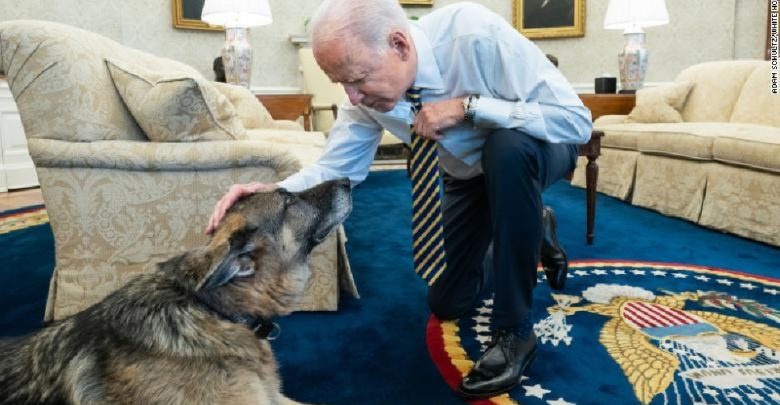 وفاة-بطل-الكلب-الرئيس-الأمريكي-جو-بايدن-،-كان-جزءًا-من-الحملة-الانتخابية