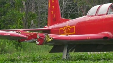 كندا:-امرأة-كانت-تقطع-العشب-في-الحقل-تعرضت-لضربة-شديدة-من-الطائرة-،-وتوفيت