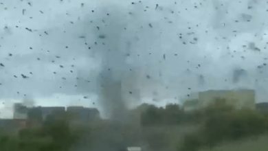 mosquito-tornado:-“عاصفة-البعوض”-في-روسيا-،-سترتجف-الروح-بعد-رؤية-الصورة
