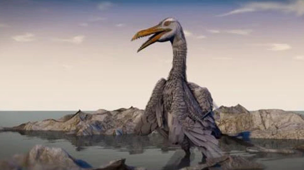 الولايات-المتحدة:-لماذا-عاشت-الطيور-أطول-من-الديناصورات؟-حصلت-على-الجواب!