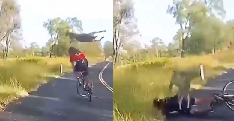 فيديو-فيروسي:-امرأة-كانت-تقود-دراجة-على-طريق-مهجور-،-وفجأة-وقع-هذا-الحادث