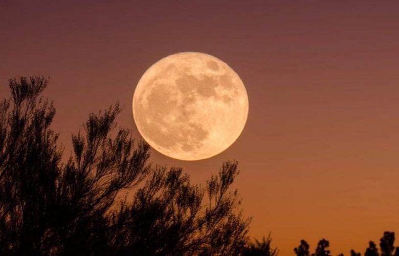هارفست-مون:-لا-تفوت-هذه-الفرصة-لرؤية-القمر-،-فسيتم-رؤية-مثل-هذا-المنظر-الرائع-في-السماء-لمدة-3-أيام