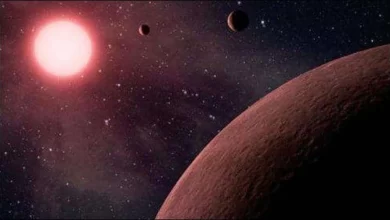 يبحث-علماء-الفلك-عن-كوكب-جديد-،-فهل-سيتم-العثور-على-كوكب-صخري-به-كائنات-فضائية-قريبًا؟
