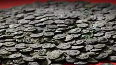 العملات-الفضية:-تم-دفن-5500-قطعة-نقدية-فضية-منذ-1800-عام-،-وتم-العثور-على-“كنز”-في-أعماق-النهر