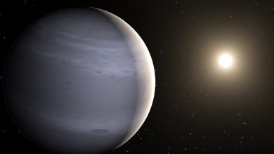 حجم-كوكب-المشتري-أثقل-بثلاث-مرات-من-ذلك-،-تفاجأ-العلماء-أيضًا-برؤية-هذا-الكوكب