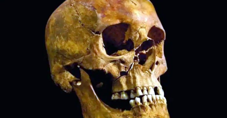 حتى-قبل-5000-عام-،-أجريت-جراحة-الأذن-،-وظهرت-أدلة-مروعة-في-المقدمة