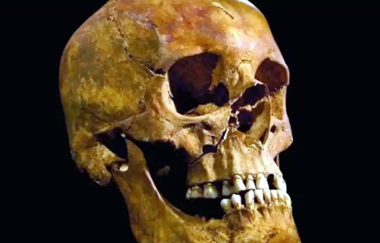 حتى-قبل-5000-عام-،-أجريت-جراحة-الأذن-،-وظهرت-أدلة-مروعة-في-المقدمة