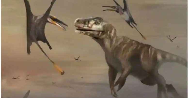“تنين-الموت”:-لا-بد-أنك-لم-تسمع-عن-هذا-النوع-من-الديناصورات-المستخدمة-للطيران-والصيد