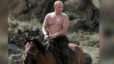 بوتين-بلا-قميص:-الصورة-التي-بلا-قميص-للرئيس-الروسي-تعرضت-للسخرية-،-ورد-بوتين-بهذه-الطريقة-على-الزعماء-الغربيين